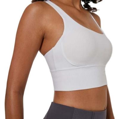 China Breathable made in china white plus size women's fitness top sports bra hot-selling product for sale