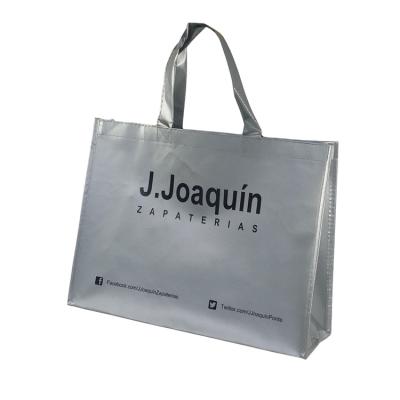 China Eco - Friendly Customize Promotional Non Woven Holographic Metallic Laminated Packaging Shopping Bag Gift Bag for sale