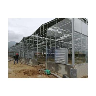 China Manufacture Professional Vegetable In-solar Fruit Greenhouses Photovoltaic Solar Greenhouse for sale