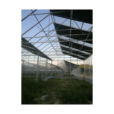 China Good Quality Vegetable PV Cell Solar Greenhouse Systems Hot Selling Chinese Greenhouse Passive Solar for sale