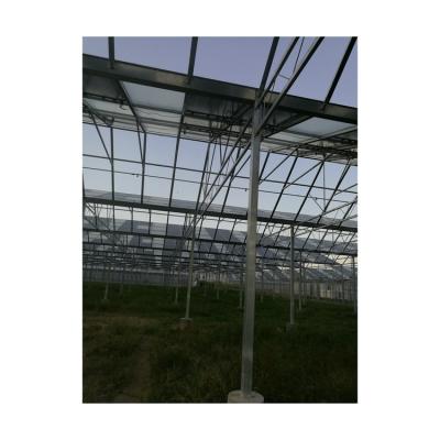 China Factory Supply Hot Price Vegetable Greenhouse Fan Circulation Solar Commercial Greenhouses for sale