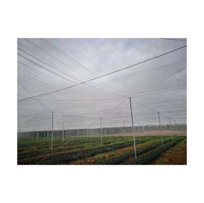 China HDG Greenhouse Insect Proof Vegetable Professional Steel Agricultural Net For Fruit Trees for sale