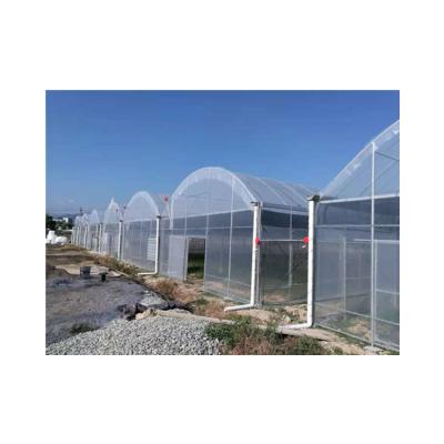 China Crystal clear/high strength/anti-drip& long life factory supply attractive price fogproof PE plastic film greenhouse parts and accessories for sale