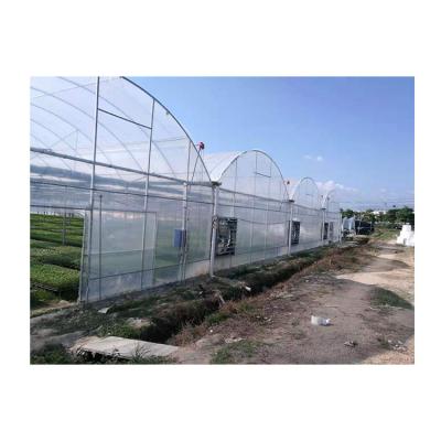 China Crystal clear/high strength/anti-drip& high quality long life pe greenhouse parts diffusion demister view and accessories for sale