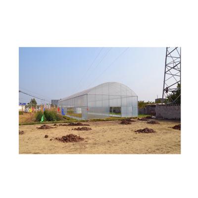 China Vegetable Hot Sale Cheap Customized Vegetable Steel Simple Large Span Greenhouse for sale