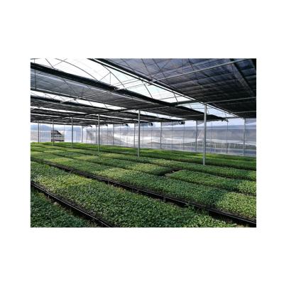 China Vegetable Greenhouse Professional Manufacturers Agricultural Intelligent Greenhouses for sale