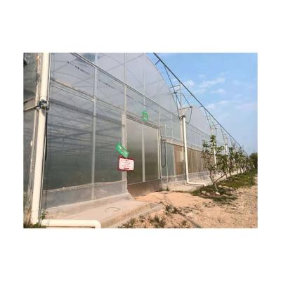 China Vegetable High Quality Durable Using Various Large Outdoor Garden Greenhouse Grow Tent for sale