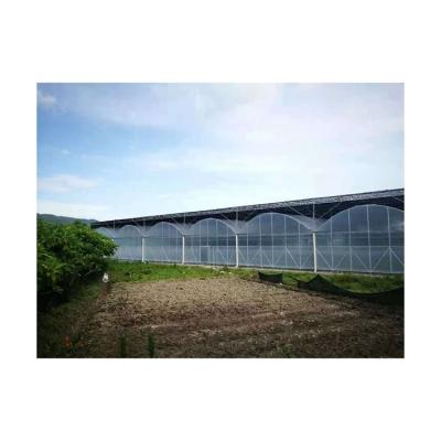 China Best Price Top Quality Vegetable Mini Tunnel Greenhouse Black Greenhouse for sale