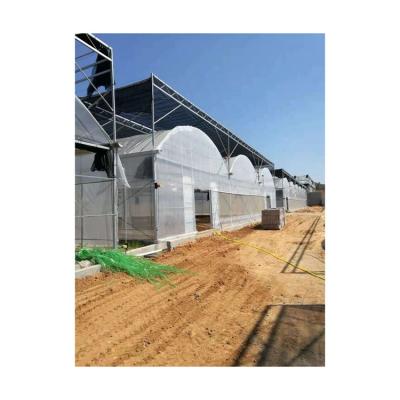 China Vegetable Top Selling Guaranteed Quality Multi Span Greenhouses With Shade System And Ventilation for sale