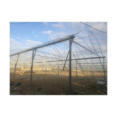 China High Quality Vegetable Vegetable Garden Greenhouse Net For Vegetables Seed Growing for sale