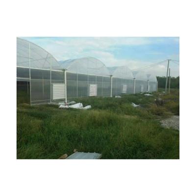 China Vegetable Suitable Greenhouse Good Quality Price HDG Smart Greenhouses Steel Structure With Hydroponic System for sale