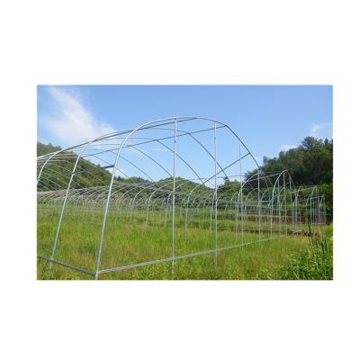 China Custom High Quality Vegetable Fruit Flower Polytunnel Large Agricultural Greenhouse for sale