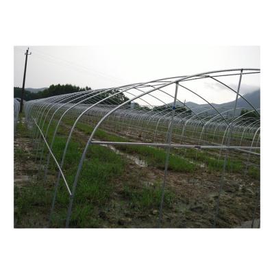 China Vegetable High Quality Durable Hot Dip Galvanized Steel Framel Tunnel Greenhouse Agriculture for sale