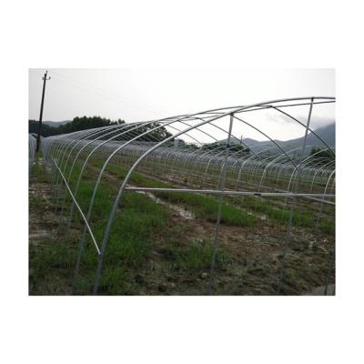 China Manufacture CheapTunnel Vegetable Greenhouse China Greenhouse Professional Greenhouse Tunnel for sale