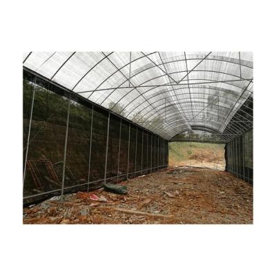 China Vegetable Wholesale High Quality Low Tunnel Greenhouse Garden Tunnel Greenhouse for sale