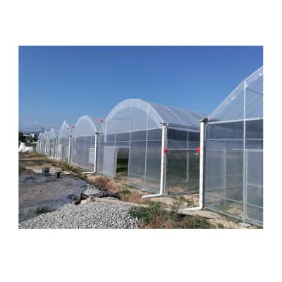 China Vegetable Professional Circle House Agricultural Photovoltaic Greenhouse for sale