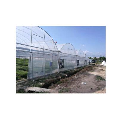 China Newest Vegetable Design Multi-span Top Quality Transparent Plastic Film Greenhouse for sale