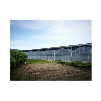 China China newest design top quality vegetable agriculture tunnel plastic film greenhouse for sale