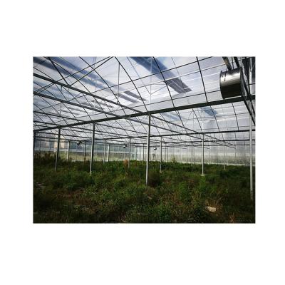 China Plant Supply Plastic Vegetable Agriculture Grow Inside Shading System Greenhouses for sale