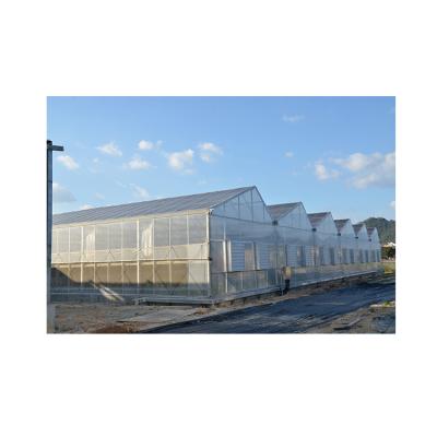 China Vegetable Suitable Price Good Quality Large Garden Multi Span Solar Panel Customized Greenhouse for sale