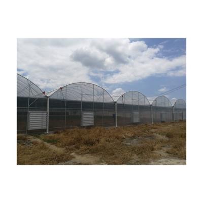 China Vegetable Wholesale High Quality UV Fleece Large Orient Multi Span Tunnel Agricultural Greenhouse for sale