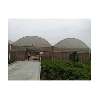 China New Type Vegetable Multi Span Mini Shelf Agricultural Greenhouses Flower Top Selling for sale