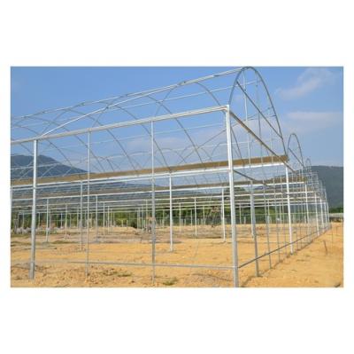 China Vegetable Promotional Multi Span Polycarbonate Vegetable Garden Greenhouse Agricultural Net for sale