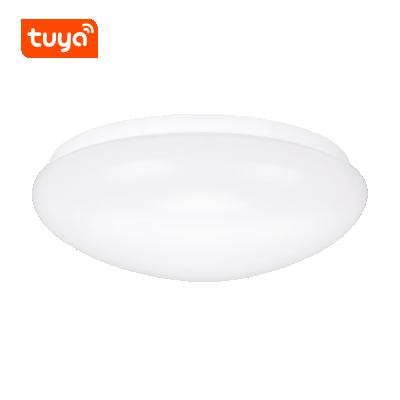 China IP44 Bedroom Living Room Ceiling Light Modern Outdoor Dampproof Mounted Home Lighting Round Led Lamp for sale