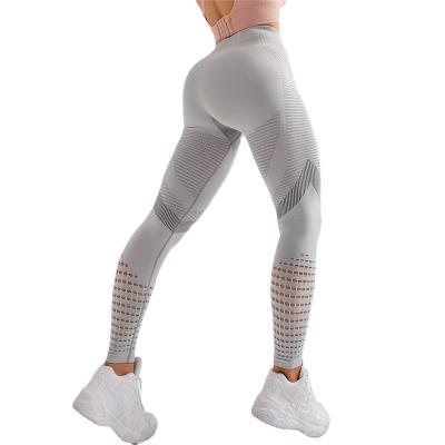 China Breathable Women Lift Up Fitness Gym Sport Professional Running Gaiters Tight Pants Pencils Cheap Wholesale Gaiters for sale