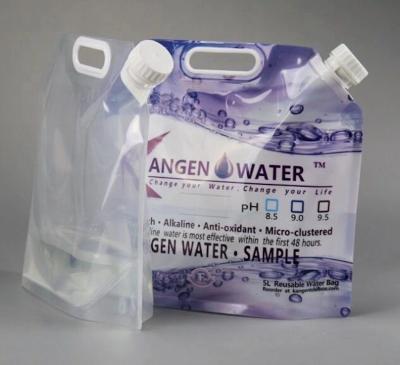 China Custom Printing 5L Foldable Water Bag With Handle en venta