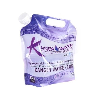 Κίνα Custom Outdoor Liquid Packaging Bag Plastic Material Foldable 5 Liters προς πώληση