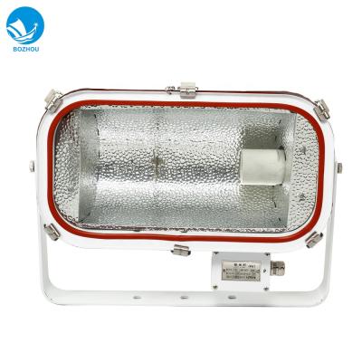 China TG4 1000w Marine/Ship Flood Light Halogen Lamp IP67 Stainless Steel Halogen Marine Flood Light for sale