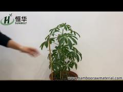 How To Use Bamboo Trellis for Climbing Plants U-shaped Bamboo Pole Garden Plant Support Stakes