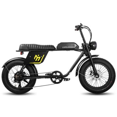 China New style aluminum ebike alloy LAMASSU 20 inch fat bike 750W 7speed electric city electric bicycle for sale