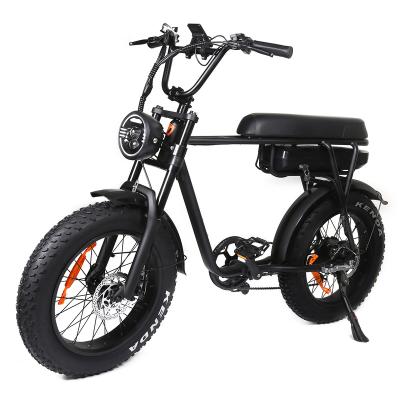 China Fatbike 750W 48V Full Suspension Fat Bike Mountain Tourwheel Fat Tire Multi-Function Fast Custom Ebike Electric Transport for sale