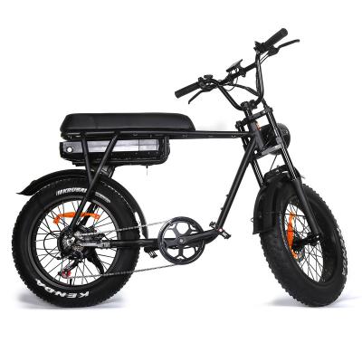 China - OEM 750w/500w Multifunctional High Speed ​​Motor Tourwheel Mountain Adult Country 20 Inch Fat Tire Belt With Seat Electric Bike for sale