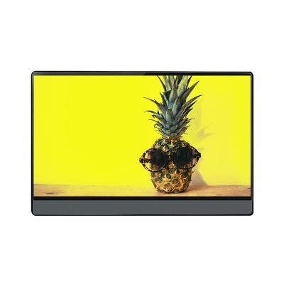 China 13.3 Inch Portable Extended Display Screen Mobile Computer External Touch Screen Speaker With Battery for sale