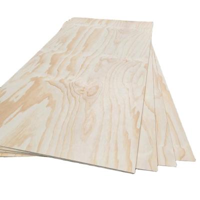 China NON STRUCTURAL PLYWOOD 1200X2400 12MM/15MM/17MM/18MM/25MM Modern PINE for sale