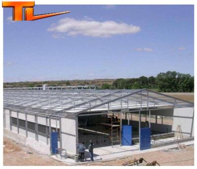 China Modern Galvanized Steel Structure Steel Frame Poultry House for sale