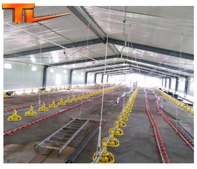 China Prefab Steel Structure Buildings Low Cost Steel Fabricated Poultry House Steel House for sale