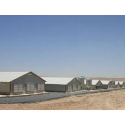 China Q235 Low Cost Prefab Modern Steel Structure Poultry Farm for sale