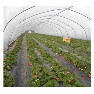 China Free design easily assembled tunnel high milling cutter fruits greenhouses plastic greenhouses used for sale for sale