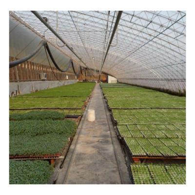 China Free Sample Agriculture Plastic Sheet Tunnel Greenhouse Single-Span Medical Growing Easily Assembled Greenhouses For Sale for sale