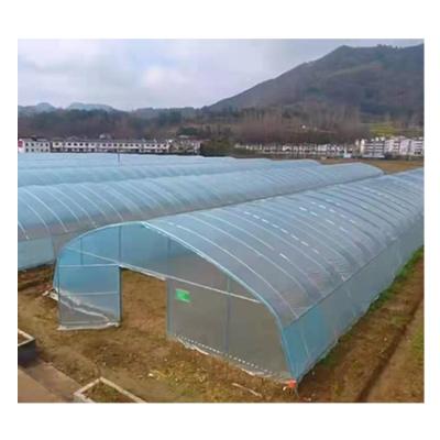 China Customized Easily Assembled Easily Installed Single Span Agricultural Green House For Vegetable for sale