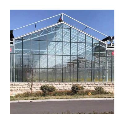 China Easily Assembled Large Type Glass Roofing Multi - Span Commercial Agricultural Greenhouse For Tomatoes for sale