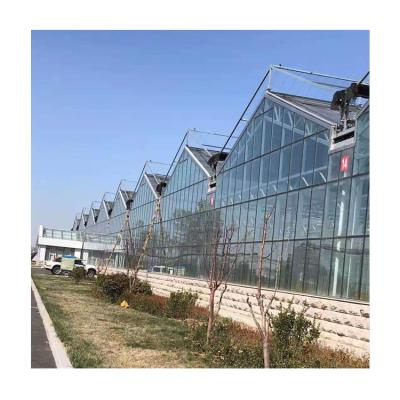 China Cheap Agricultural Multi Smart Greenhouse Easily Assembled Tempered Glass Venlo Span Hydroponic Greenhouse For Tomato Breeding for sale