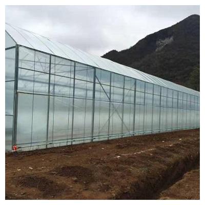 China Professional Design Tempered Glass Easily Assembled Agricultural Greenhouse For Sale for sale