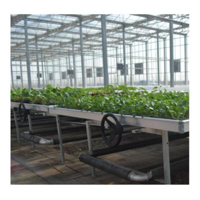 China Easily Assembled Factory Wholesale Polycarbonate Sheets 4mm 6mm 8mm 10mm Tunnels Greenhouse for sale