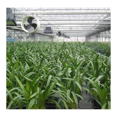 China Easily Assembled DIY Transparent 8mm 10mm Agriculture Polycarbonate Panel Greenhouse With Hydroponic System for sale