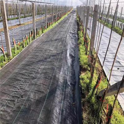 China extremely sturdy & tear-firm permeable for aerating and watering factory direct sales agricultural ground cover weed control mat fabric mat estera de malezas for sale